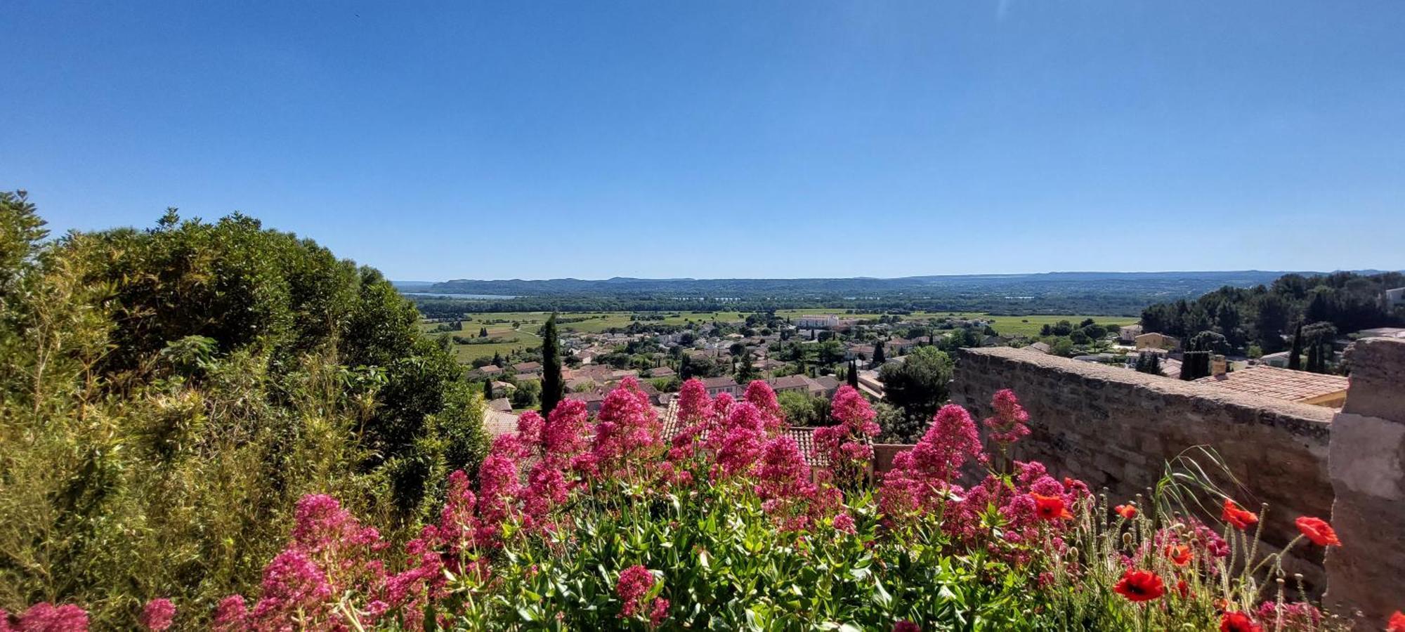 Gite De L'Olivier, Classe, Climatise, Jardin Avec Parking Gratuit Devant Le Logement Et A 5 Minutes Du Centre-Ville A Pied LʼIsle-sur-la-Sorgue 외부 사진